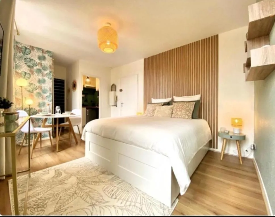 Le Boheme Tourisme Repos Business A Toulouse Daire
